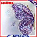 Oil Paint by Numbers Butterfly Canvas Artwork Living Room Picture Decoration Kit