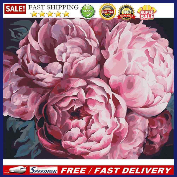 DIY Paint By Number Kit Pink Peony Flowers Acrylic Paint for Gift Art Ornam
