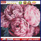 DIY Paint By Number Kit Pink Peony Flowers Acrylic Paint for Gift Art Ornam