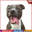 Animals Paint By Numbers Frameless DIY Handmade Picture On Canvas (Dog)