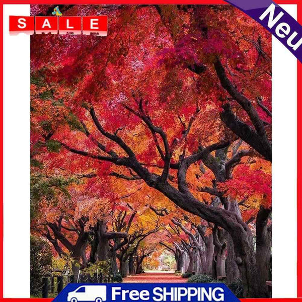 Oil Paint by Numbers Path Scene Canvas Artwork Living Room Picture Decoration