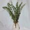 10X Air-dried Flower Eucalyptus Stems Branches Leaves DIY Bouquet Home X8G3 Y8O1