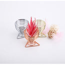 Metal Flowerpot Display Stand Wall Hanger Air Plants Holders Plant Holder