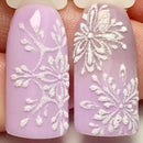 Shinning Glitter Pigment DIY Manicure White Coating Sugar Nail Powder Winter