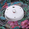 8 inch LED Solar Lantern Waterproof Pendant Decor (Tropical Rain Forest A)