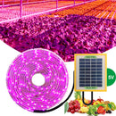 #A Solar LED Plant Grow Light Strip Greenhouse Hydroponic Phytolamp Equipment