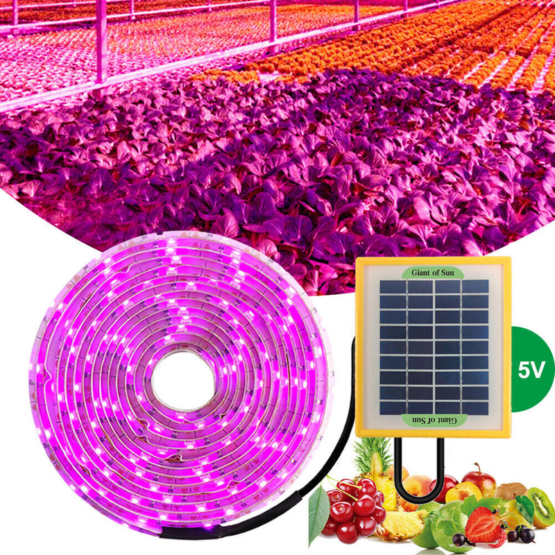 #A Solar LED Plant Grow Light Strip Greenhouse Hydroponic Phytolamp Equipment