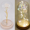 Bottle Glass Vase Glass cloche Dust Cover Wooden base Flower Storage box