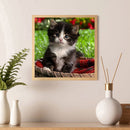5D DIY Full Drill Diamond Painting Lovely Cat Cross Stitch Needlework Set Decor