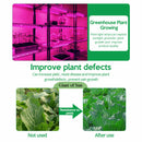 #A Solar LED Plant Grow Light Strip Plant Greenhouse Supplementary Light Lamps