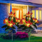 2x LED Solar Garden Orchid Light Waterproof Landscape Fence Decor (Orange)