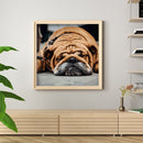 Hand Painted on Canvas DIY Sleeping Dog Oil Paint By Numbers Drawing Kit Cr