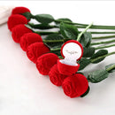 Flower Valentine's Gift Ring/Earrings/Pendant Jewelry Box Red Rose Display