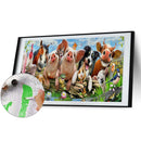 Animal Family Oil Paint By Numbers Kits Canvas DIY Picture Hand Painted Drawi