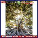 Life of Tree Oil Paint By Numbers DIY Coloring Picture for Adults Children