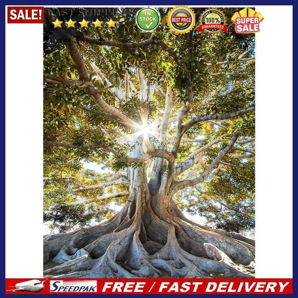 Life of Tree Oil Paint By Numbers DIY Coloring Picture for Adults Children
