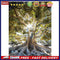 Life of Tree Oil Paint By Numbers DIY Coloring Picture for Adults Children