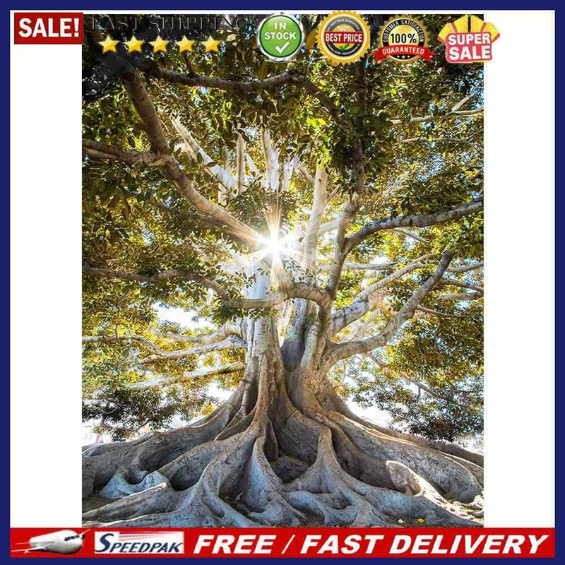 Life of Tree Oil Paint By Numbers DIY Coloring Picture for Adults Children