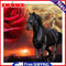 Rhinestone Picture 5D DIY Craft Full Round Drill Diamond Painting Rose Horse