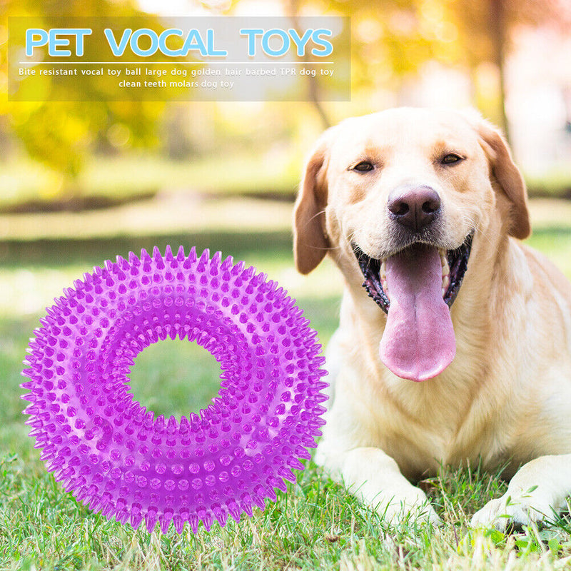 Bite Resistant Golden Dog Retriever Circle Ring Thorn Molar Ball (S Purple)