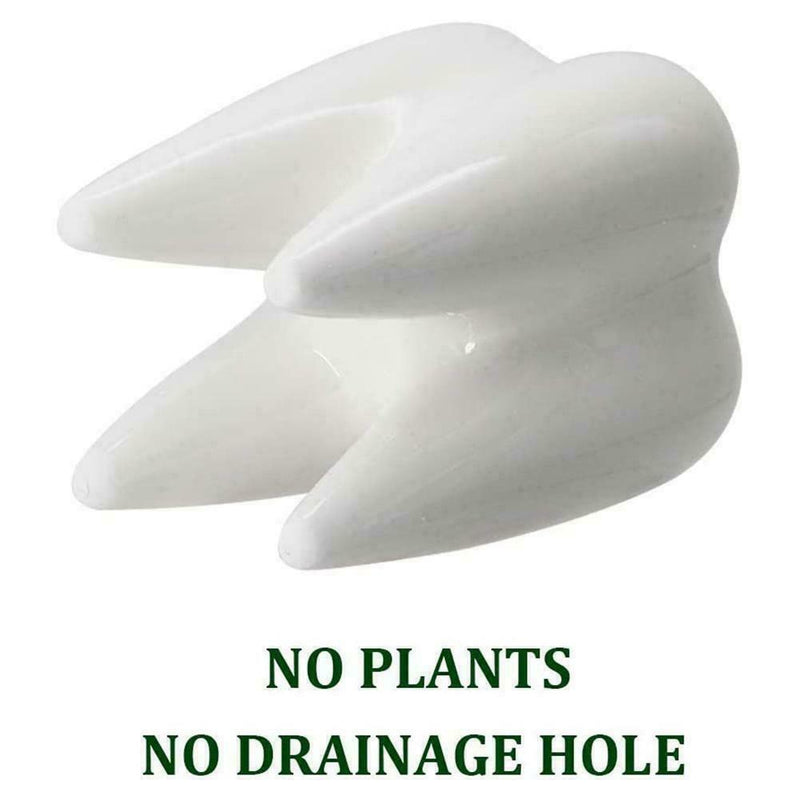 Tooth Shaped Ceramic Flower Pot Planter Plant Holder 7Y6R Succulen Flower Y0N9