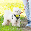 USB Electric Ultrasonic Dog Stop Barking Pet Puppy Training Collar (B) Newly