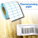 Waterproof Adhesive Thermal Paper Label Blank Print Stickers (5000pcs/Roll)