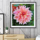 5D DIY Full Round Drill Diamond Painting Pink Flower Mosaic Rhinestone Draw