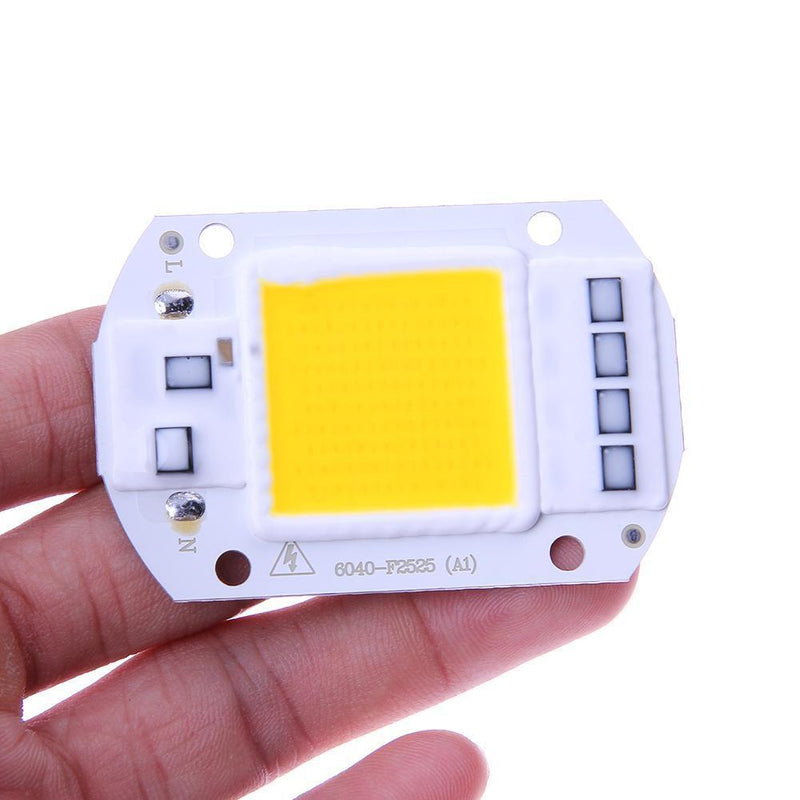 10pcs 50W LEDs Floodlights COB Chip 220V Input Integrated IC (Warm White)