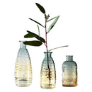 Hydroponics Flower Vase Hydroponics Flower Bottle Glass Vase Flower Bottle