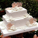 Accessories Pastry Tool Conch Shells Baking Mould Silicone Mold Cake Decorating