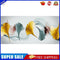 Color Ginkgo Biloba Oil Paint By Numbers Kit DIY Acrylic Painting on Canvas