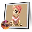 Diamond Painting 5D Dog DIY Full Round Drill Rhinestone Home Decoration Han
