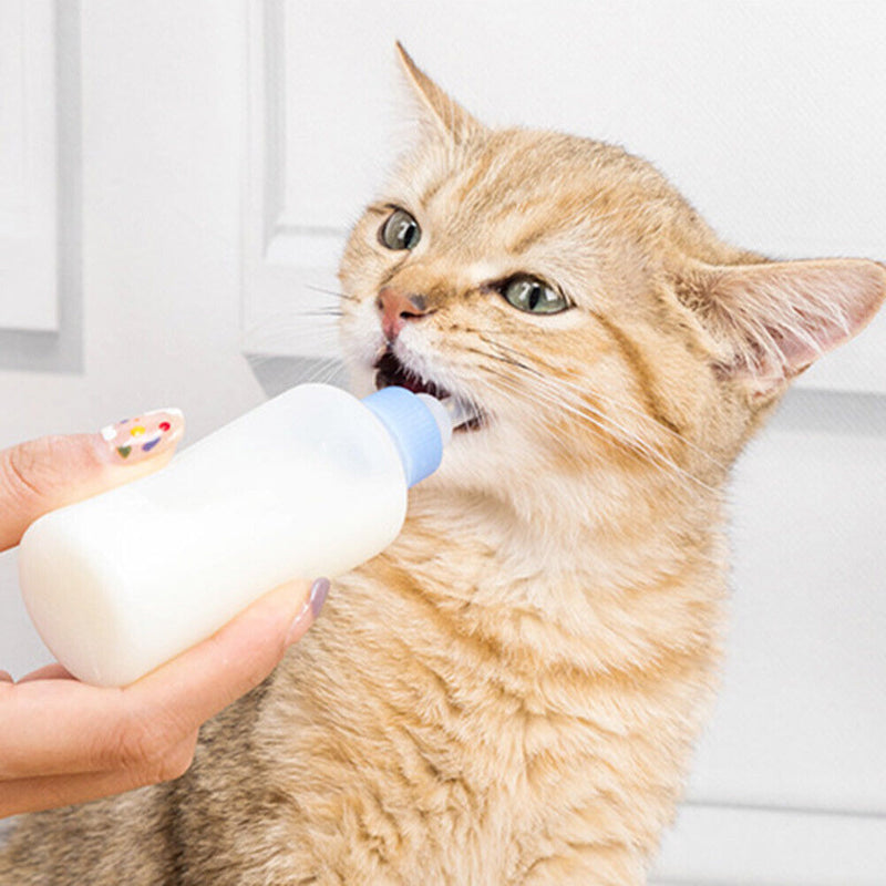 Silicone Feeding Bottle Set Dog Cat Baby Nursing Water Milk Feeder Pet Supp