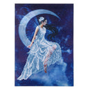 5D DIY Round Drill Diamond Painting Moon Goddess Cross Stitch Embroidery(C