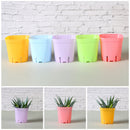 Garden Supply Succulent Mini Basin Flower Pot Planter Tool Plant  Trays