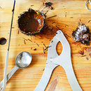 Stainless Steel Sea Urchin Scissors - Multipurpose Ultra Sharp Utility Tool