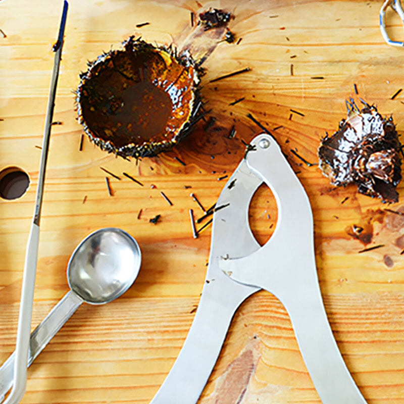 Stainless Steel Sea Urchin Scissors - Multipurpose Ultra Sharp Utility Tool