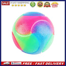 Flashing Elastic Teddy Dog Rubber Ball Pet Color Durable Interact Light up