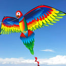 Rainbow Color Flying Parrot Kite with String Handle for Family Fun Outdoor Toys