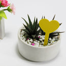 Fleshy Label Flower Gardening Plug Board Succulent Plant Waterproof Name Tags