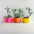 Metal Flower Vegetables Plant Support Fixing Rod Climbing Holder Climbing Frame