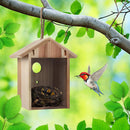 Window Birdhouse with Strong Suction Cups and Outdoor Lanyard See-through`