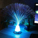 LED Fibre Optic Light Starry-Lamp Decor Fountain Colors Nights Relaxing U0A9