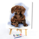 #A Waterside Cat Oil Paint By Numbers DIY Handpainted on Canvas Picture Unfram