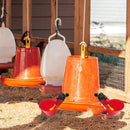 5pcs Chicken Quail Poultry Waterrer Drinker Bird Coop Hanging Water Cups Tools