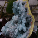 Madagascar Celestite Crystal druzy cluster sky Blue Mineral 100G Geode app O0Q5