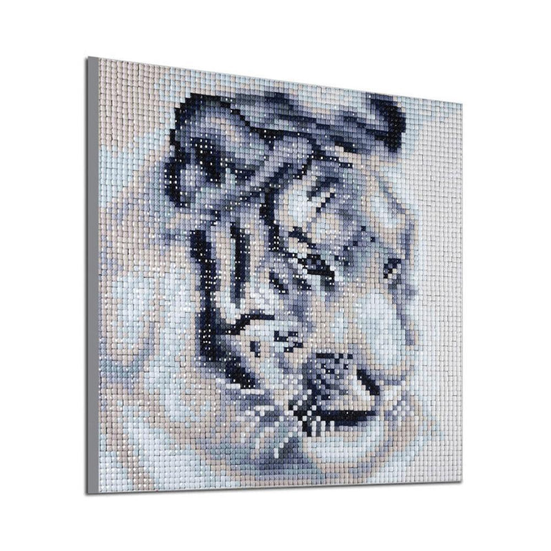 5D DIY Full Drill Square Diamond Painting Tiger Cross Stitch Embroidery Kit