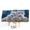 Two White Tigers Oil Paint By Numbers Kits DIY Craft Coloring Drawing Home