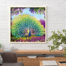 Part Special Shaped Drill Diamond Painting Peacock Mosaic Picture Art Craft
